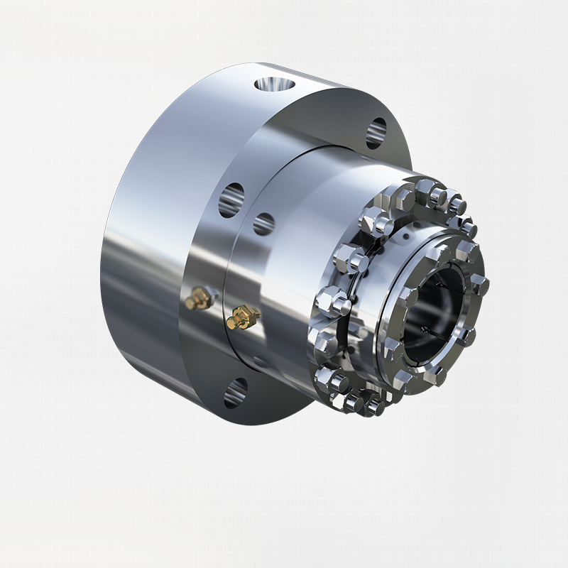 C550 Heavy Duty Slurry Type Mechanical Seal